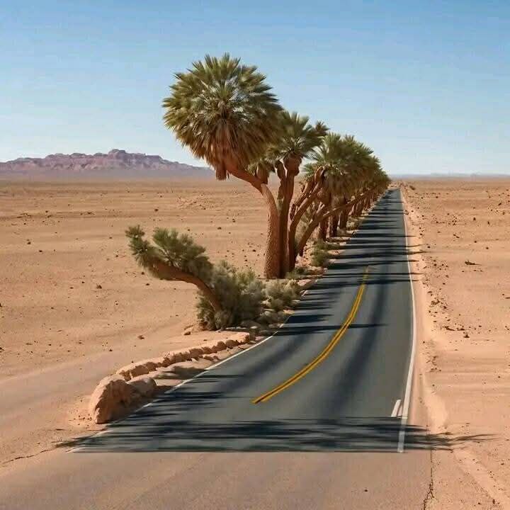 @imtiaz.khalil