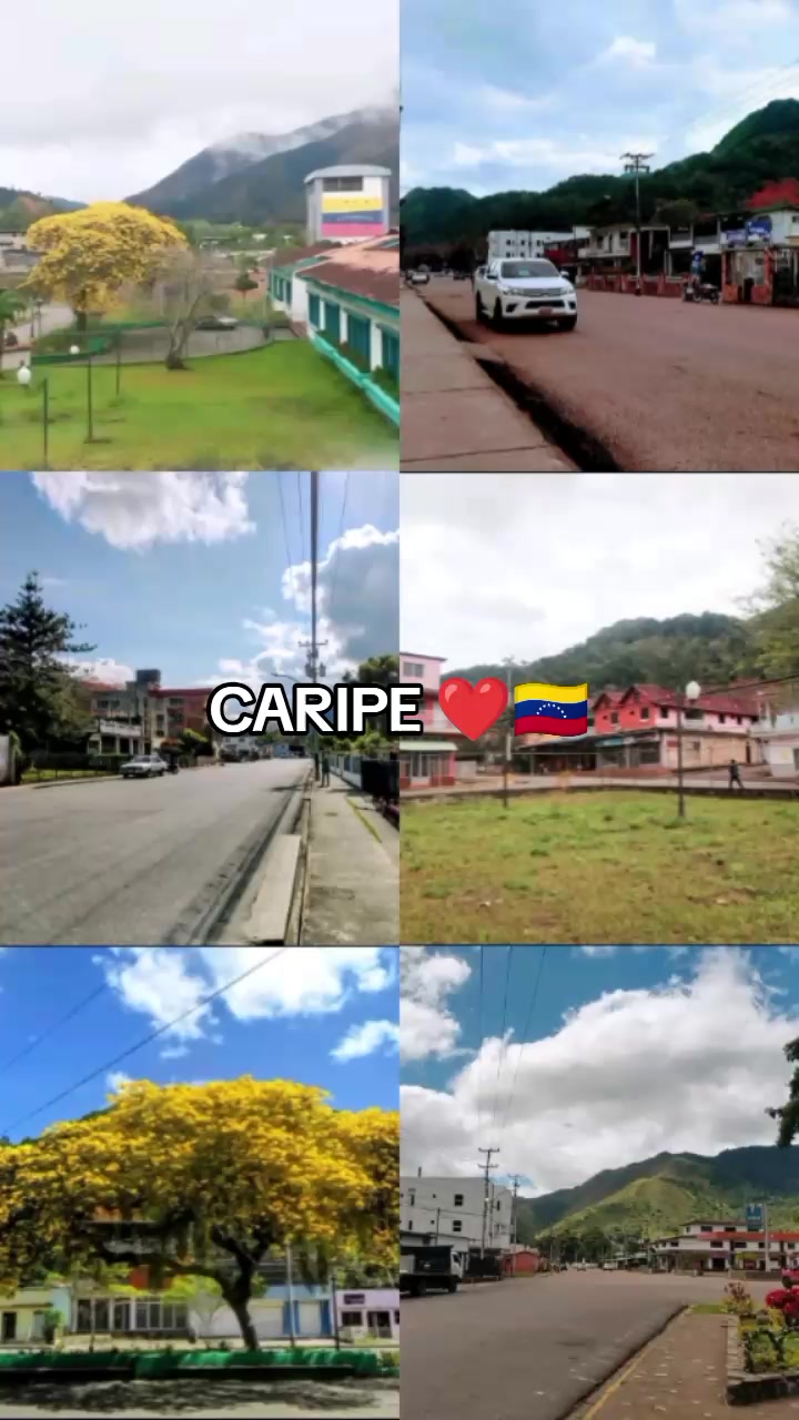 @s&iacute;gueme y te sigo 🇻🇪🌹