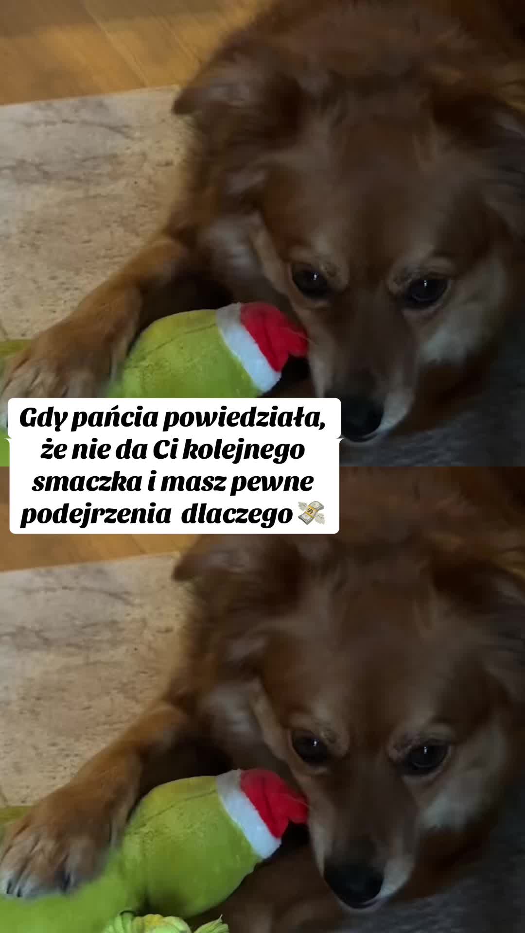 @hejmoniu
