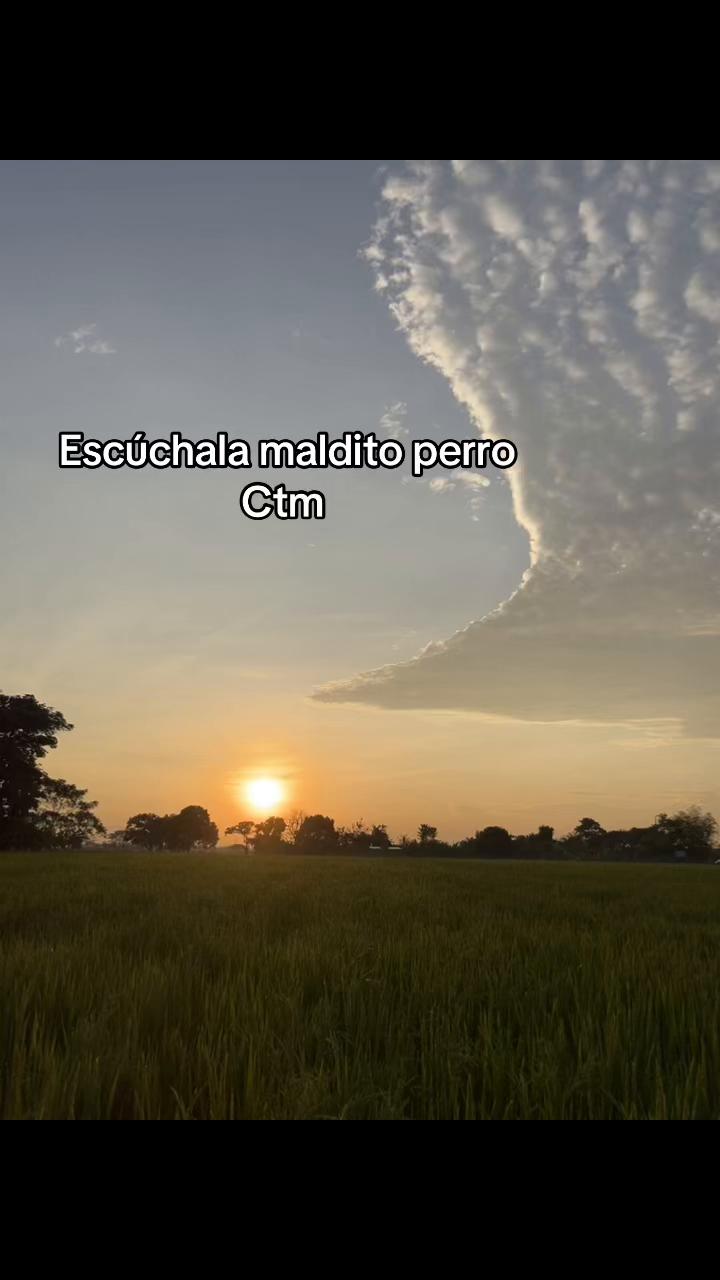 @Nallely