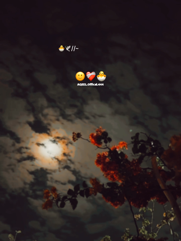 @⍥⃝🦋𝘼𝙌𝙀𝙀𝙇🤝𝐐𝐚𝐬𝐢𝐦&reg;&trade;🧸