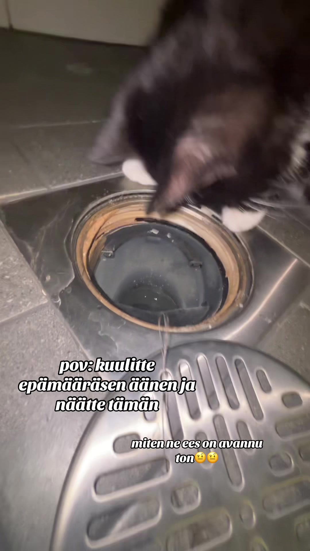 @♰𝕱𝖊𝖙𝖆♰
