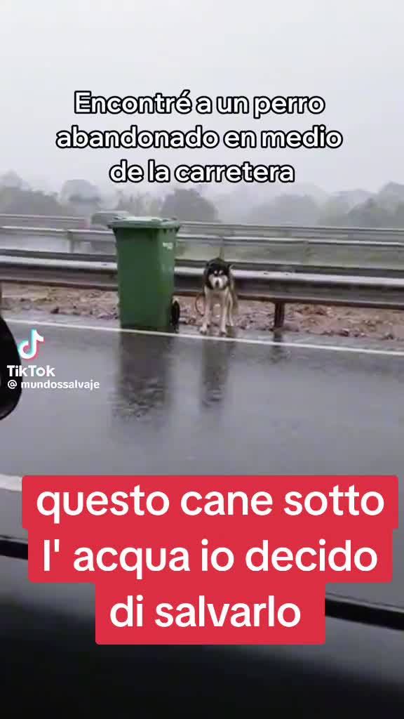 @Francesco Fotia