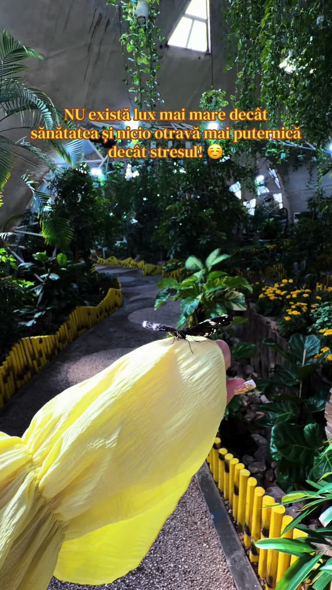 @KiraMaxAvaThor