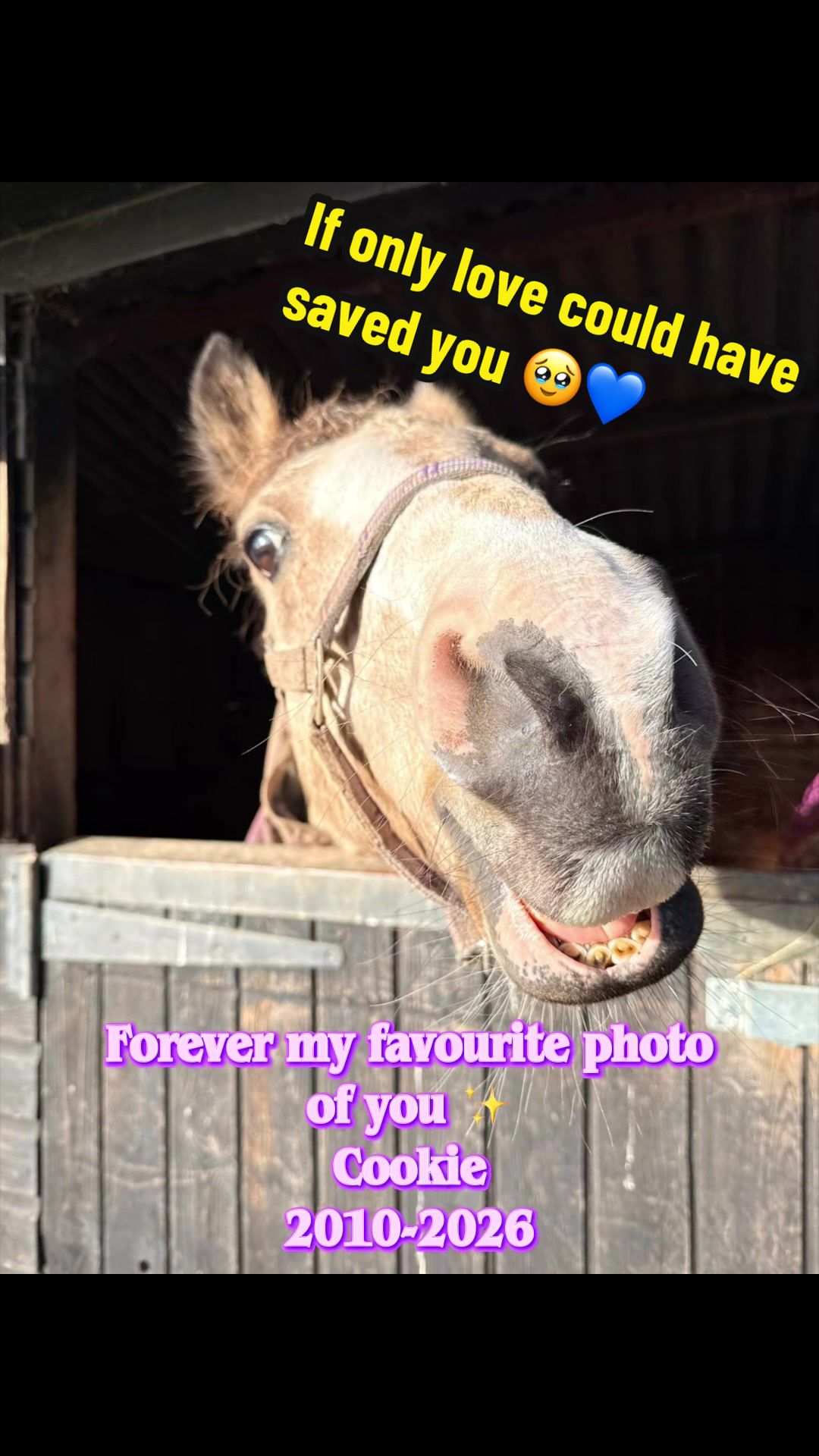 @Nellie-Kerr&rsquo;s Riding Journey
