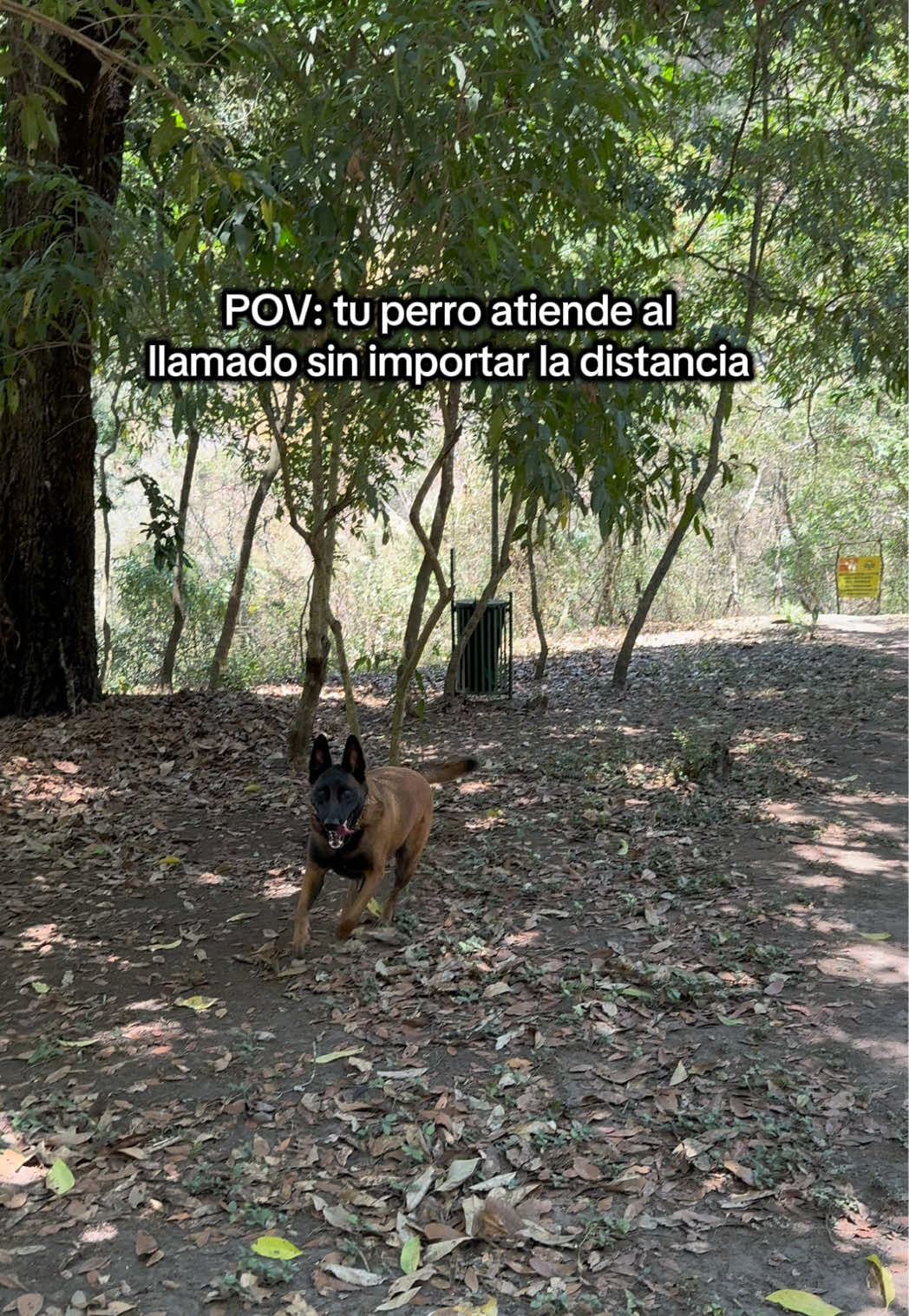 @simon_elmalinois