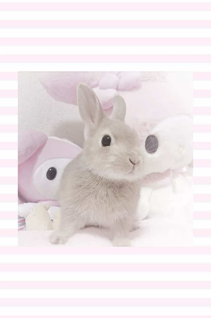 @Ი𐑼