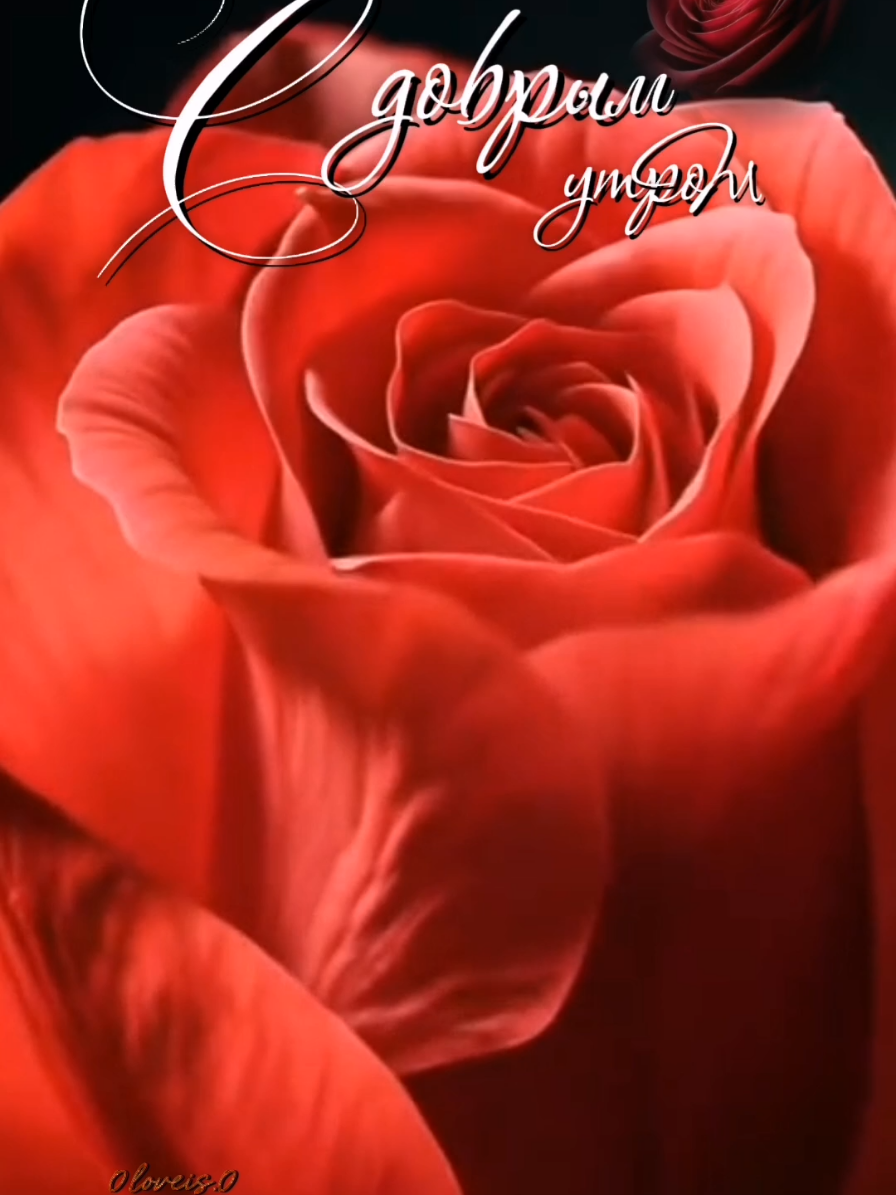 @💐