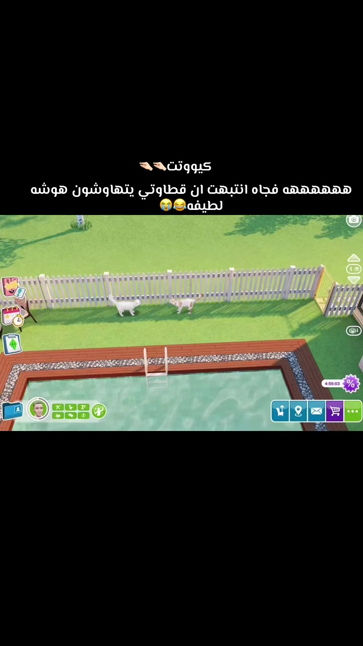 @🐧💛