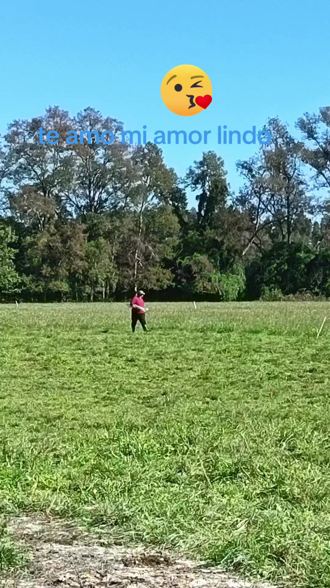 @xexe