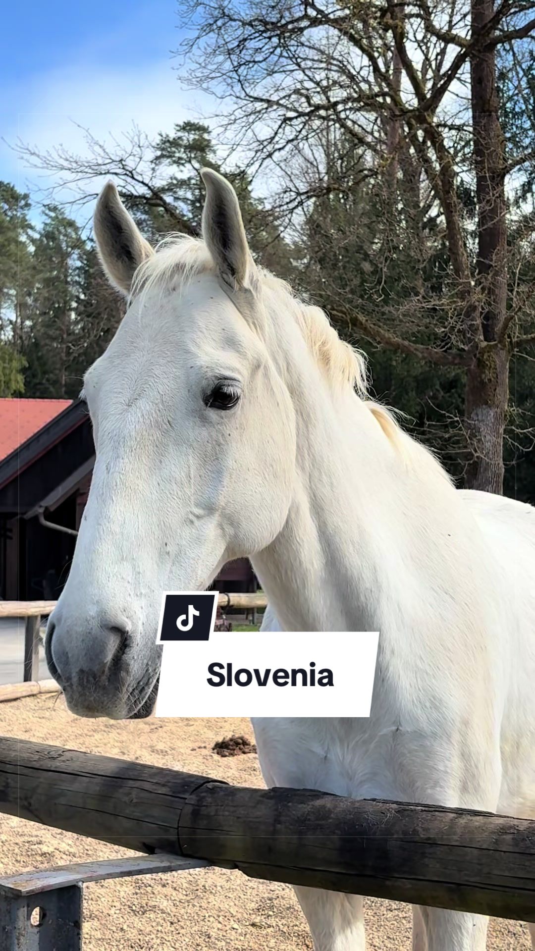 @abazova_journey