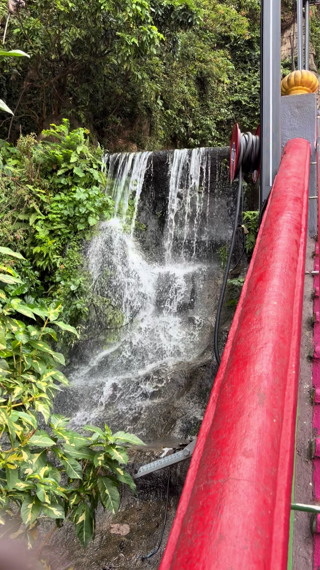 @Dodosami123
