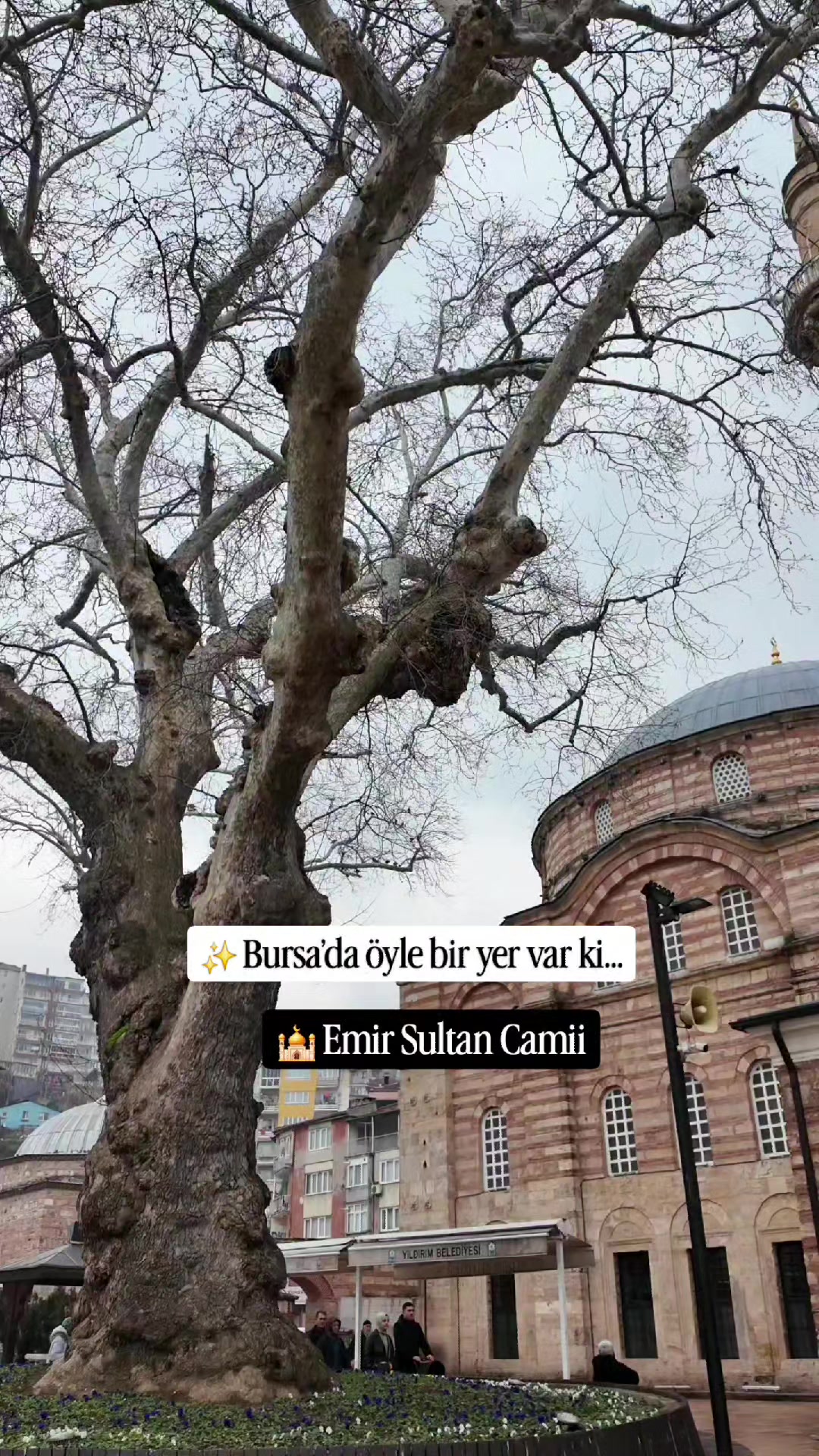 @Gezmelere Doyamadınız