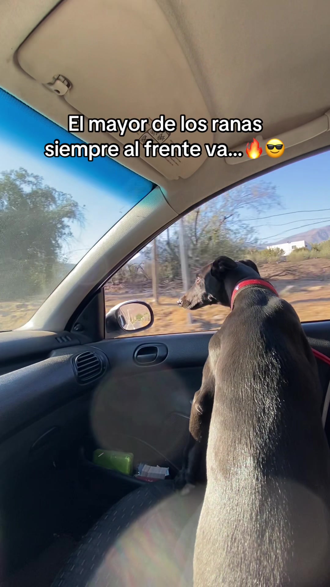 @Noemijj.5