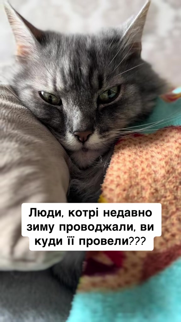 @timka.kit