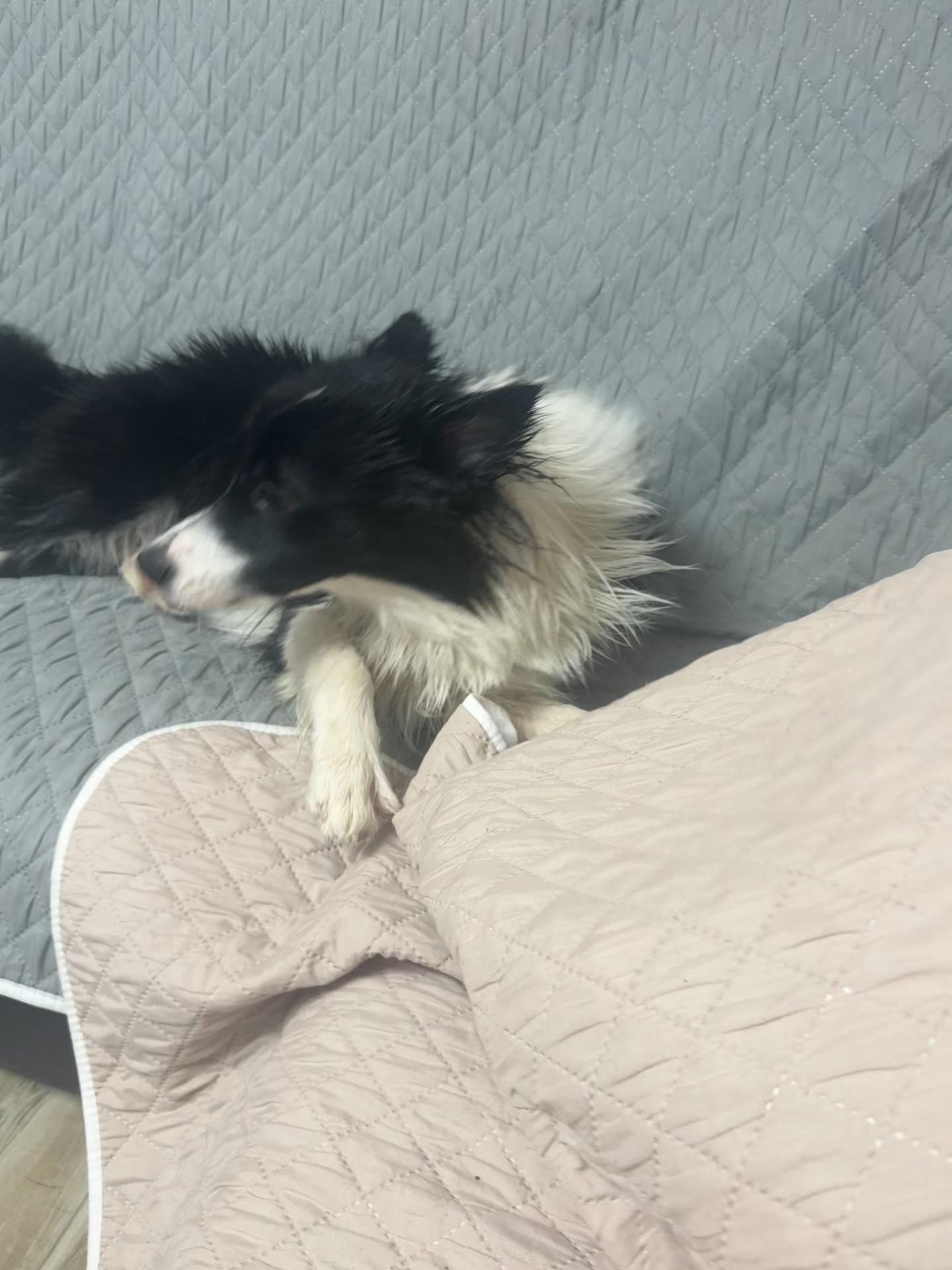 @Юрий 777777