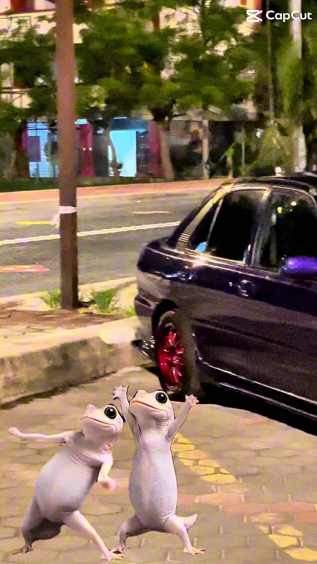 @P|6