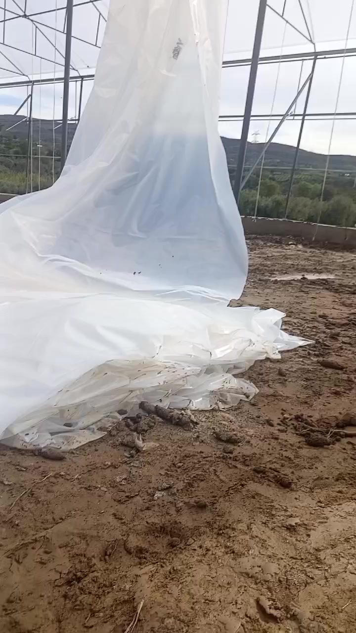 @Oktay Aydın