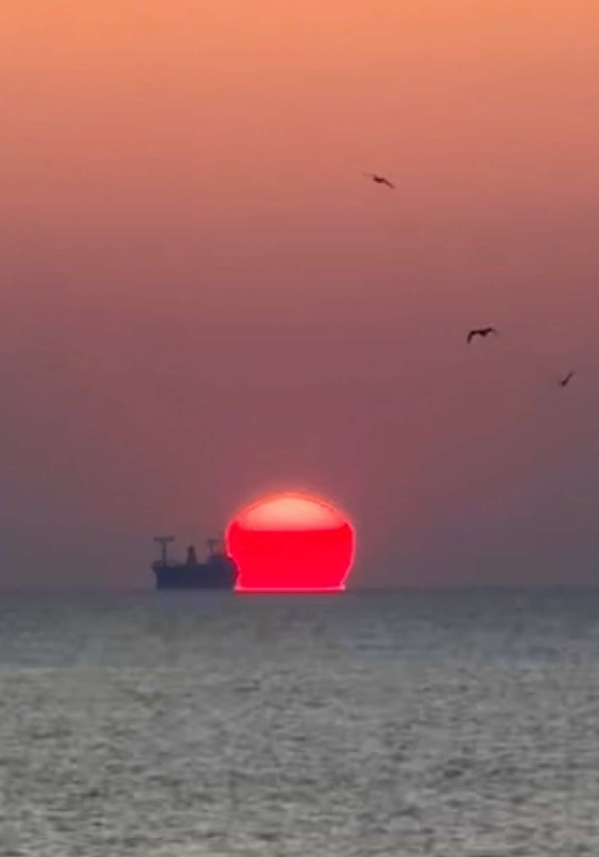 @🌞