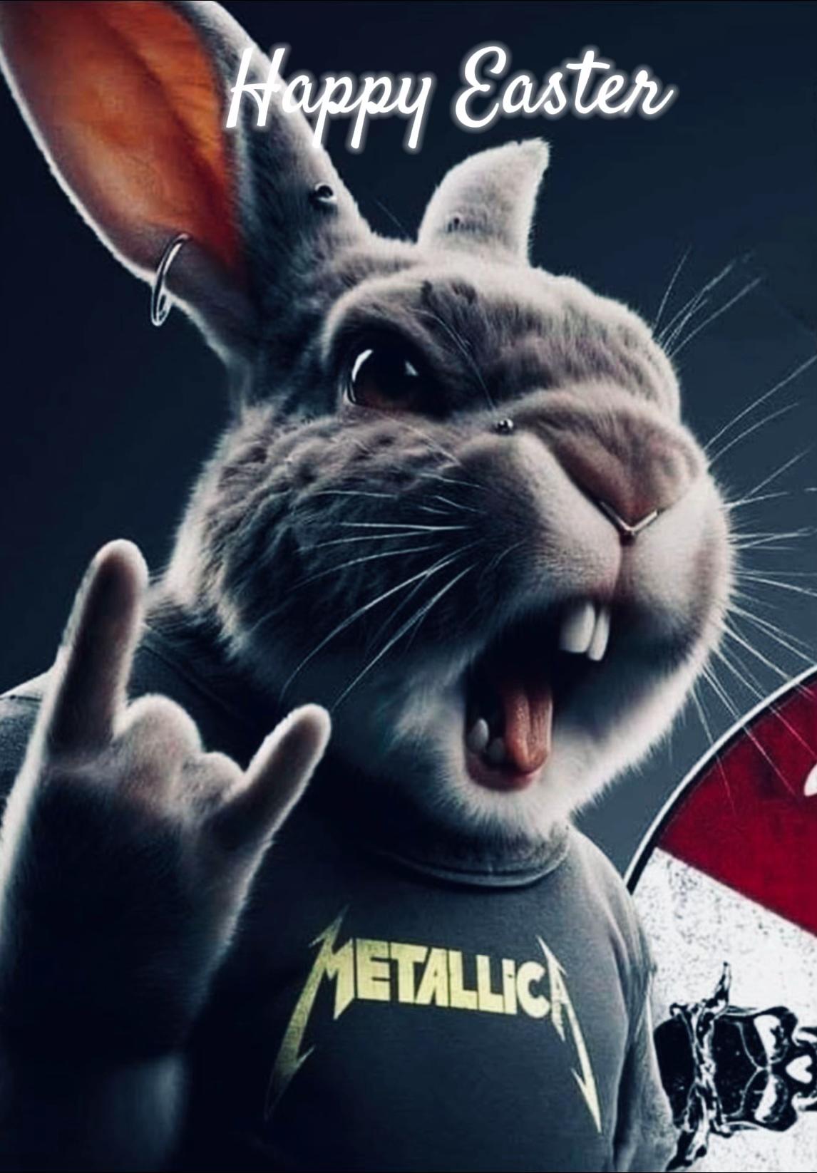 @Sandra 🤘🎸rock&rsquo;roll