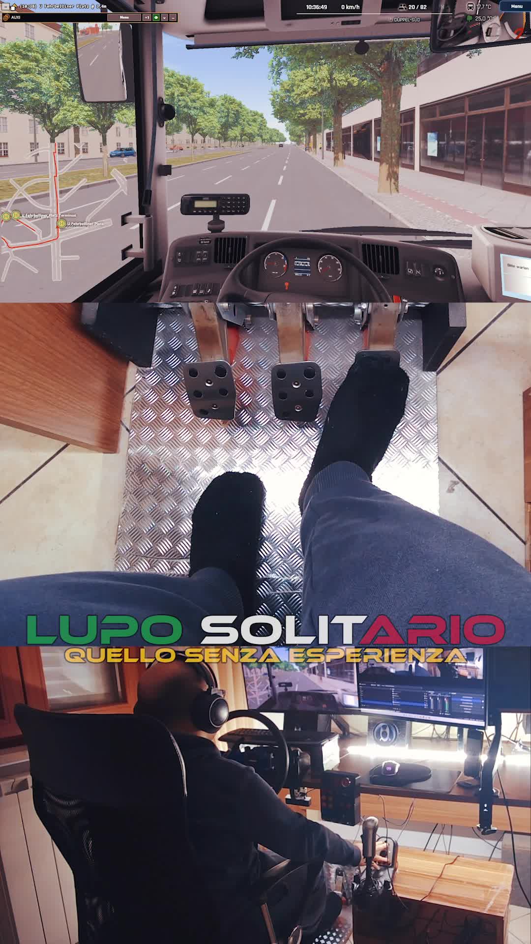 @Lupo Solitario