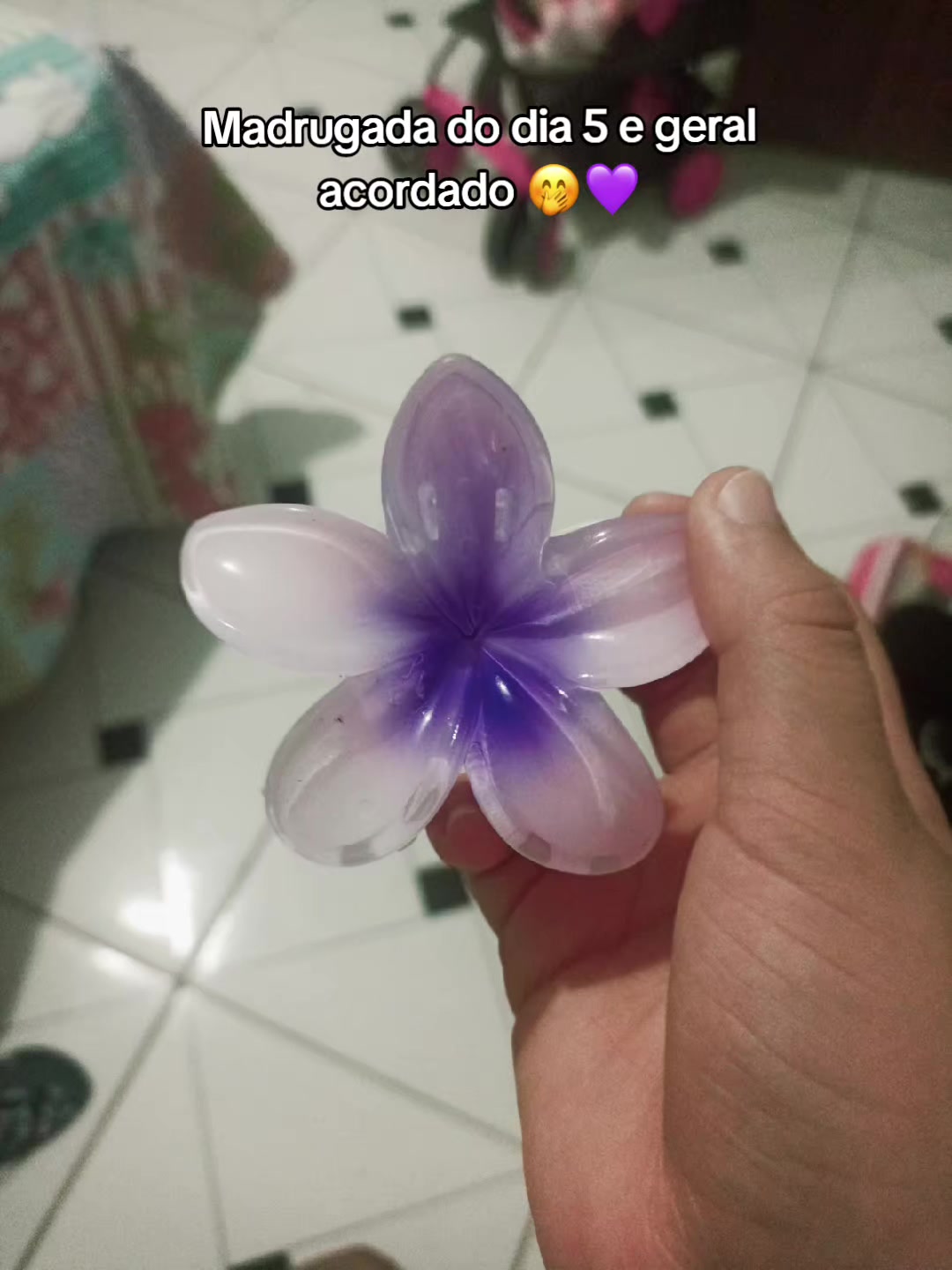 @𐔌 ꩜' &ndash; 𝐒o͜͜͡&rho;̳hᩙ&iota;ᥱ !&iexcl;🚀💜