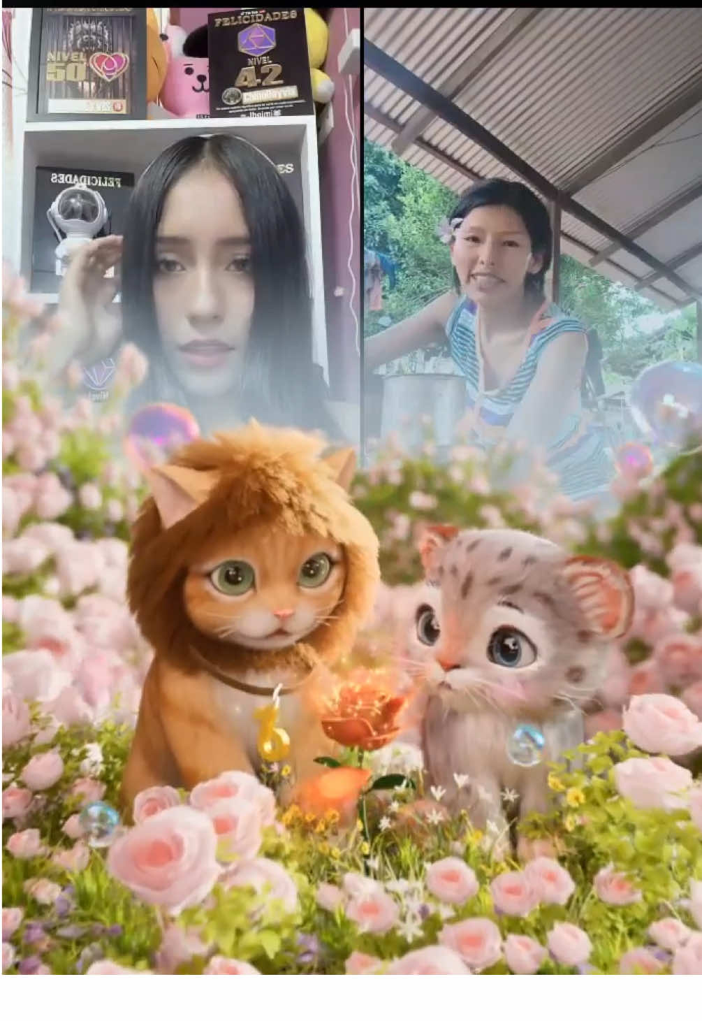 @🐹🉐 Jheimi 🐅🦖