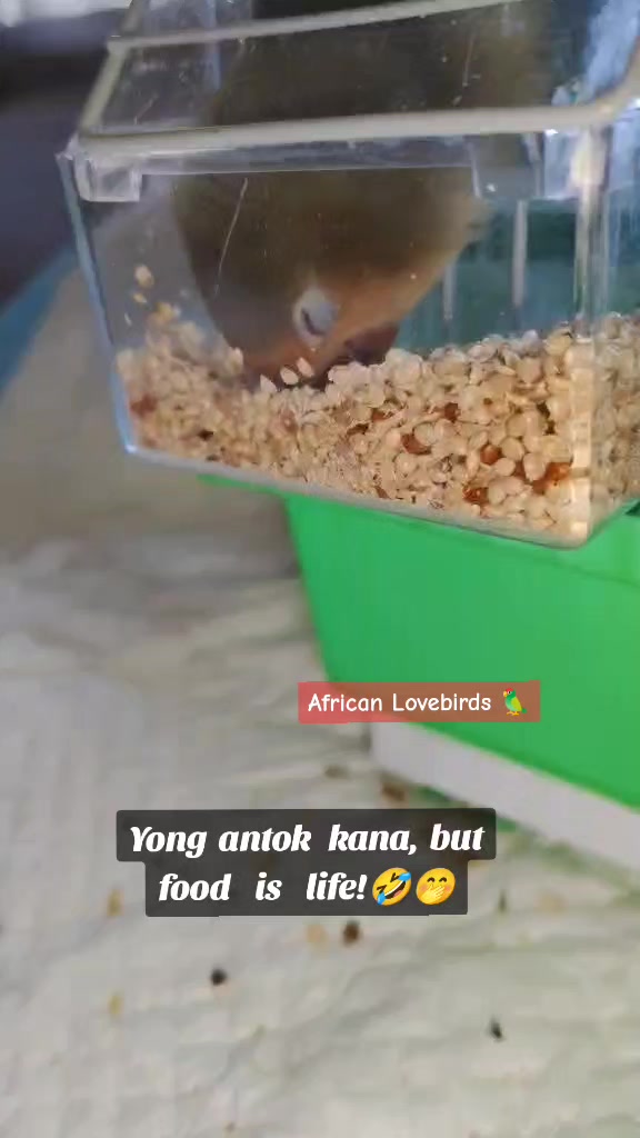 @itsMe_vic