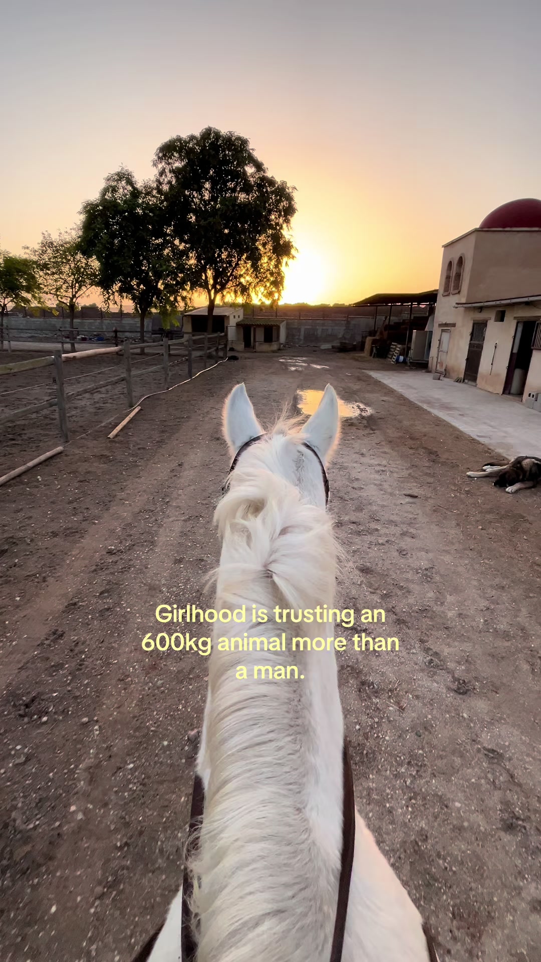 @MyHorse