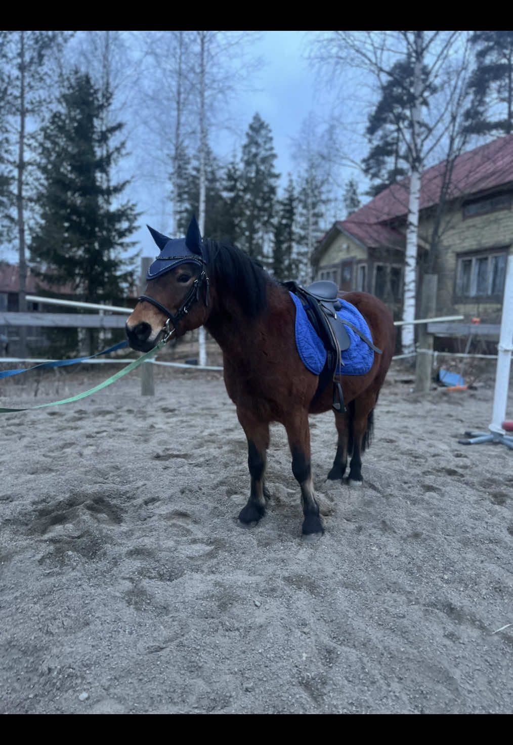 @Ponirannan talli🇫🇮🐎