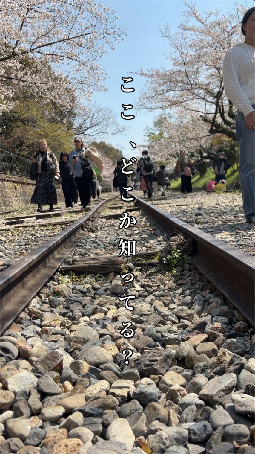 @fuma.関西旅行記録