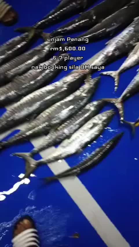 @G.D SPORT🛥️🎣
