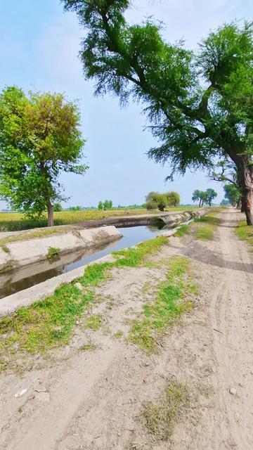 @❤️ میرا سوہنا پنجاب 🇵🇰