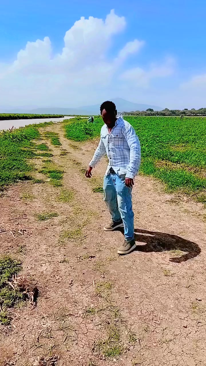 @🅰.🅱.D.I.I.🎵.✅