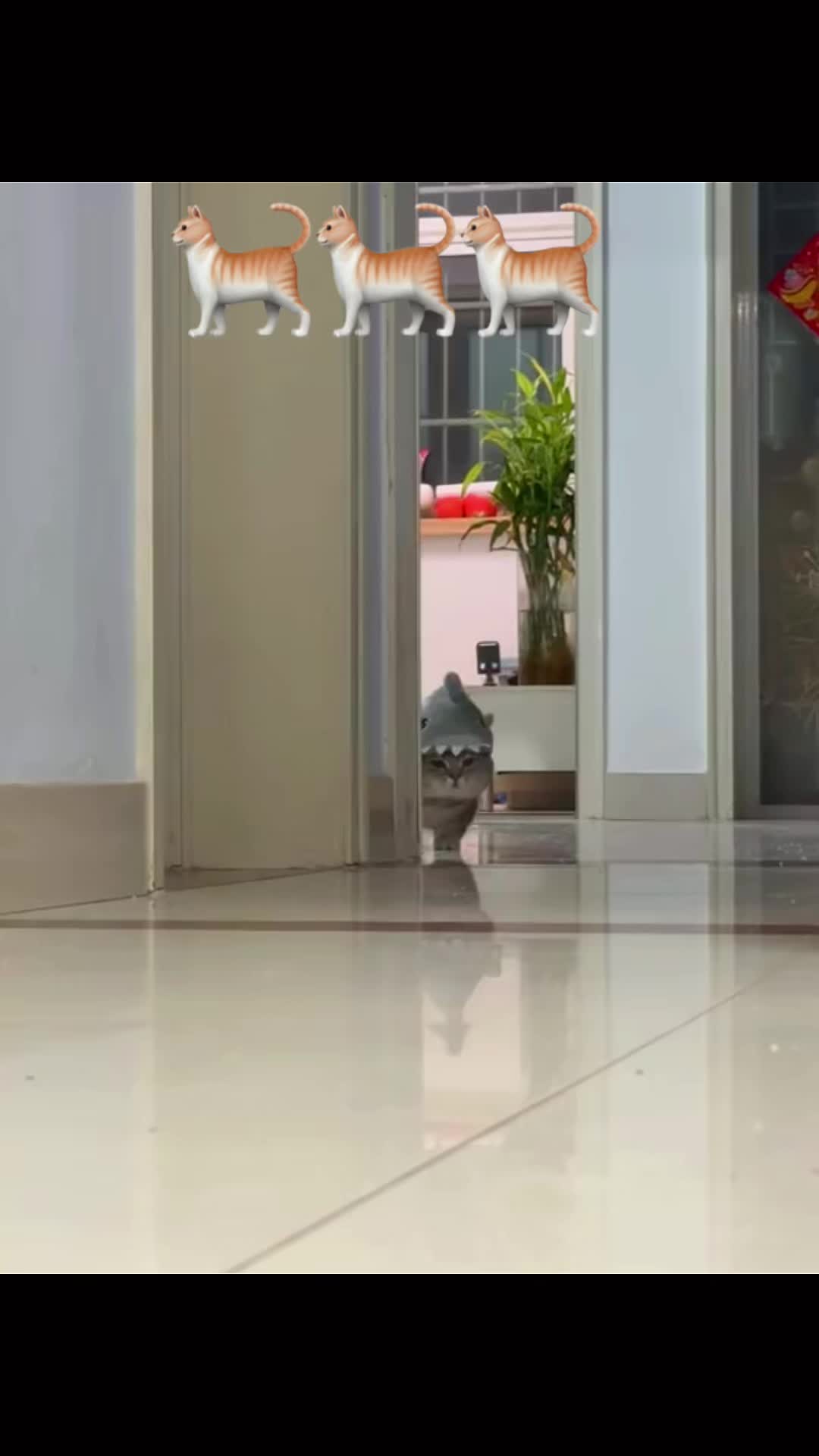 @1+