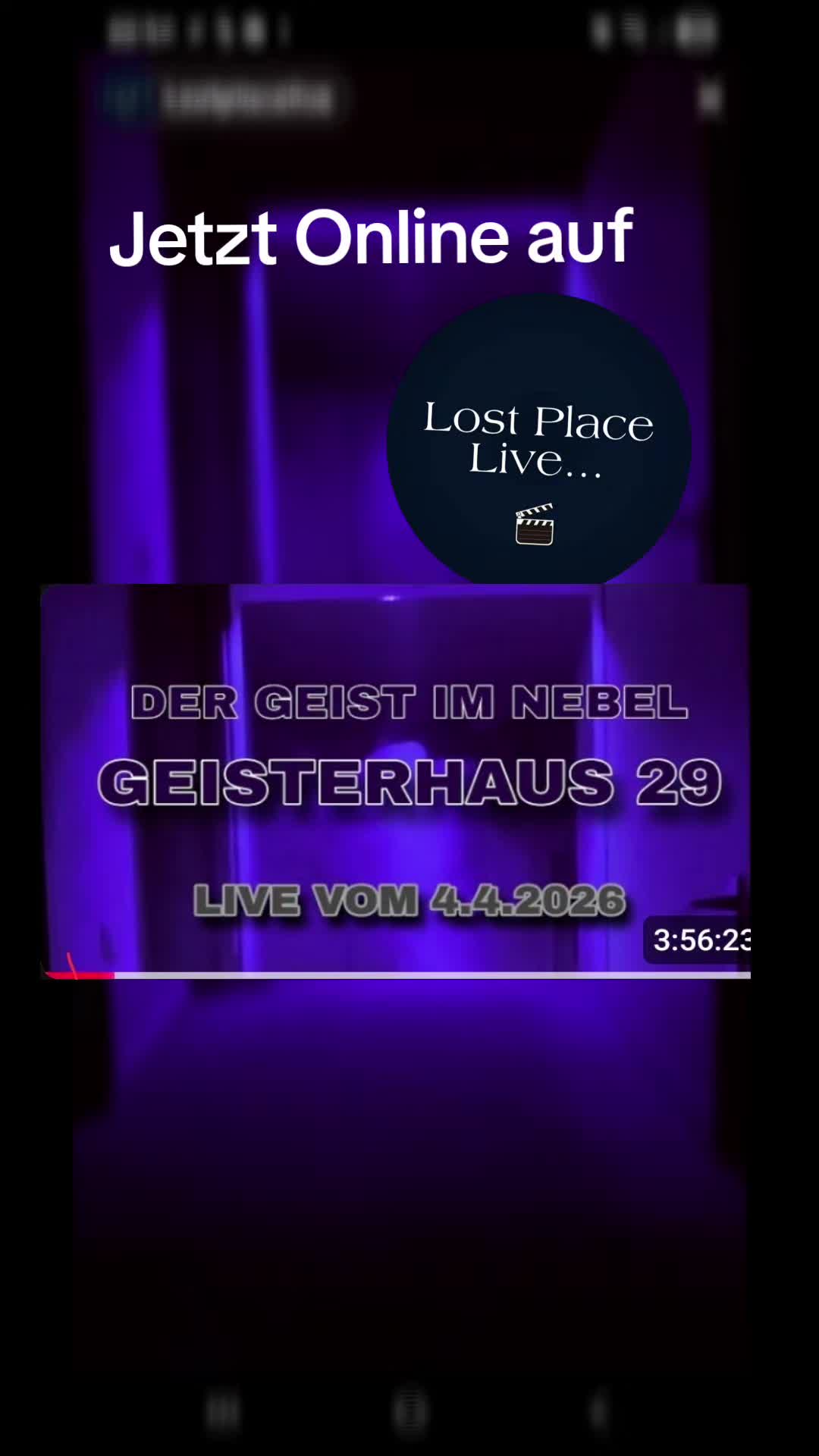 @Seva Eszeha