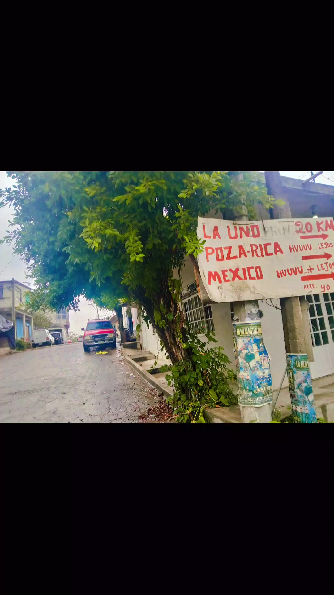@Araceli Salinas