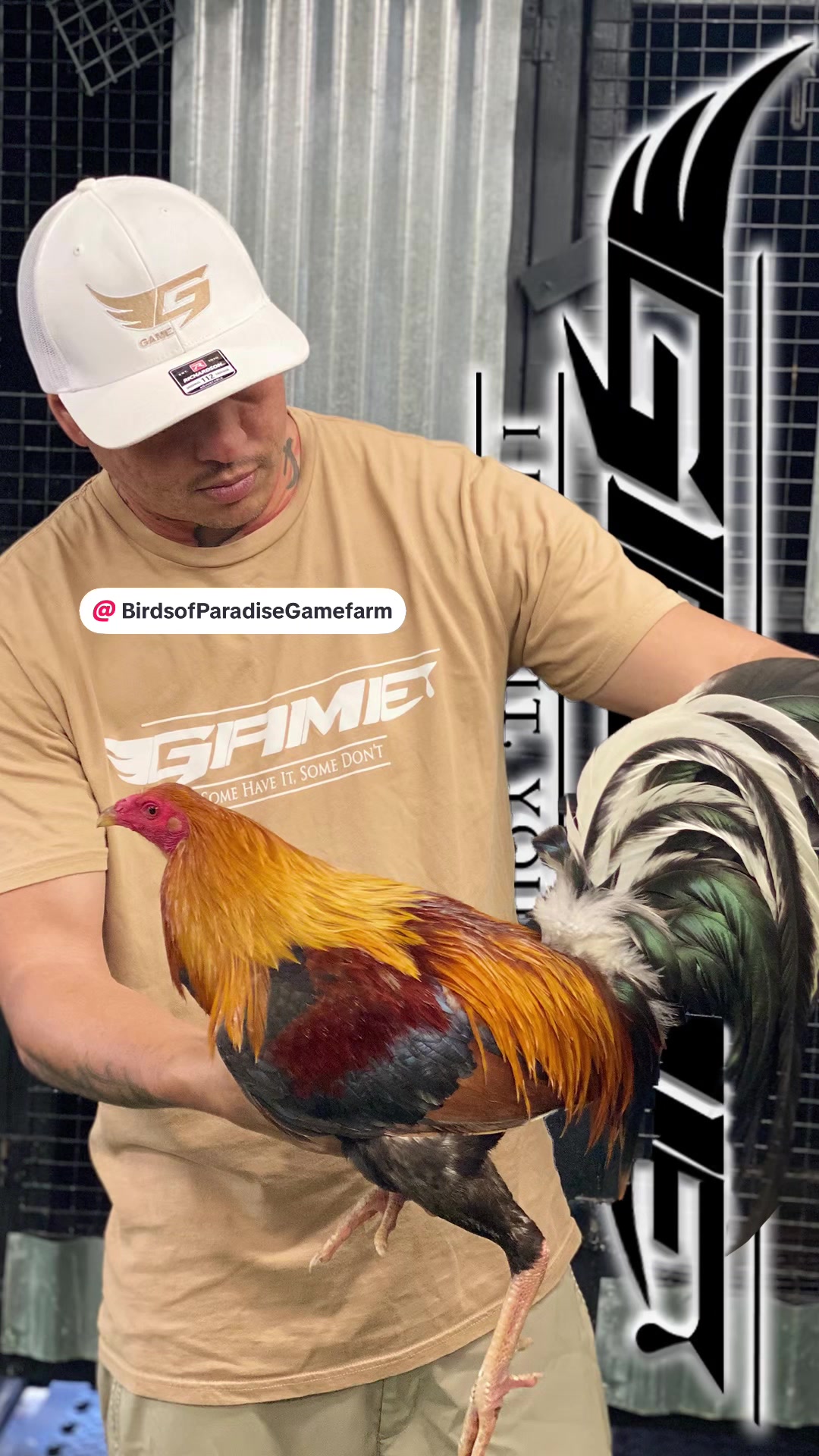 @GAME BRAND