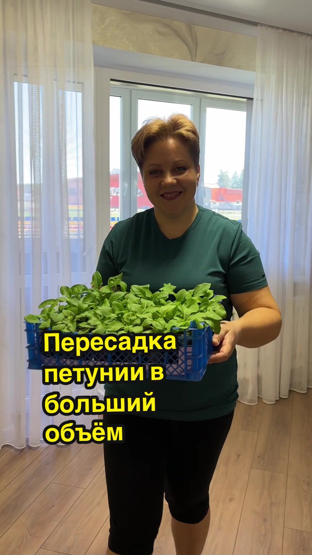 @🌿𝓐𝓷𝓲𝓷𝓪 𝓭𝓪𝓬𝓱𝓪🌿