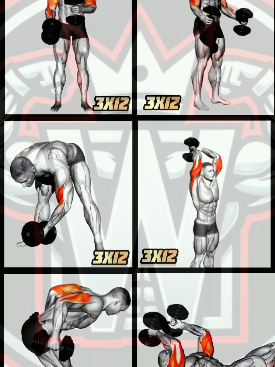 @Workout