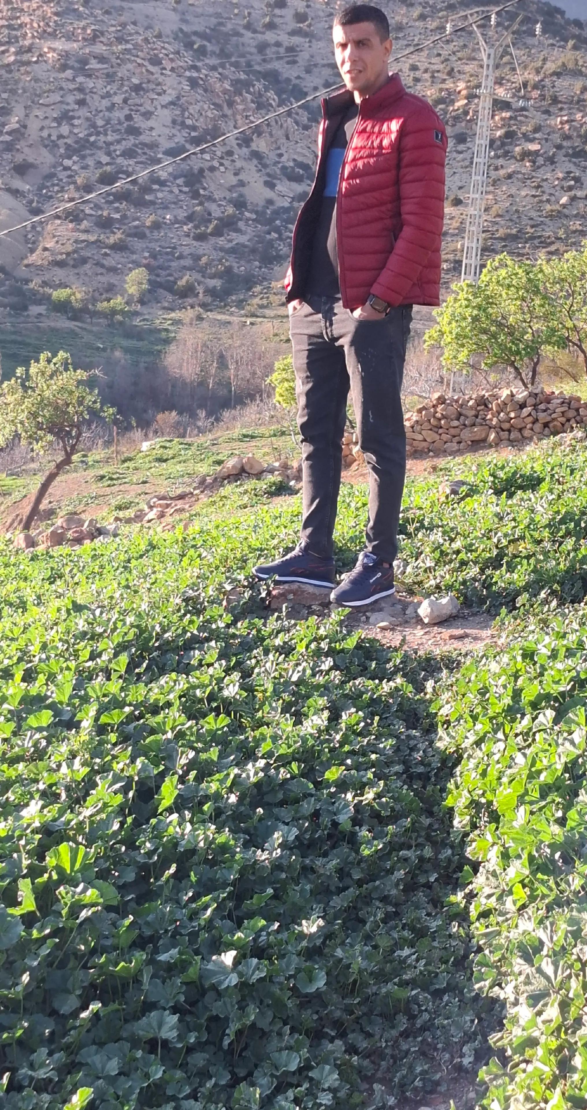 @تاقي البوشي