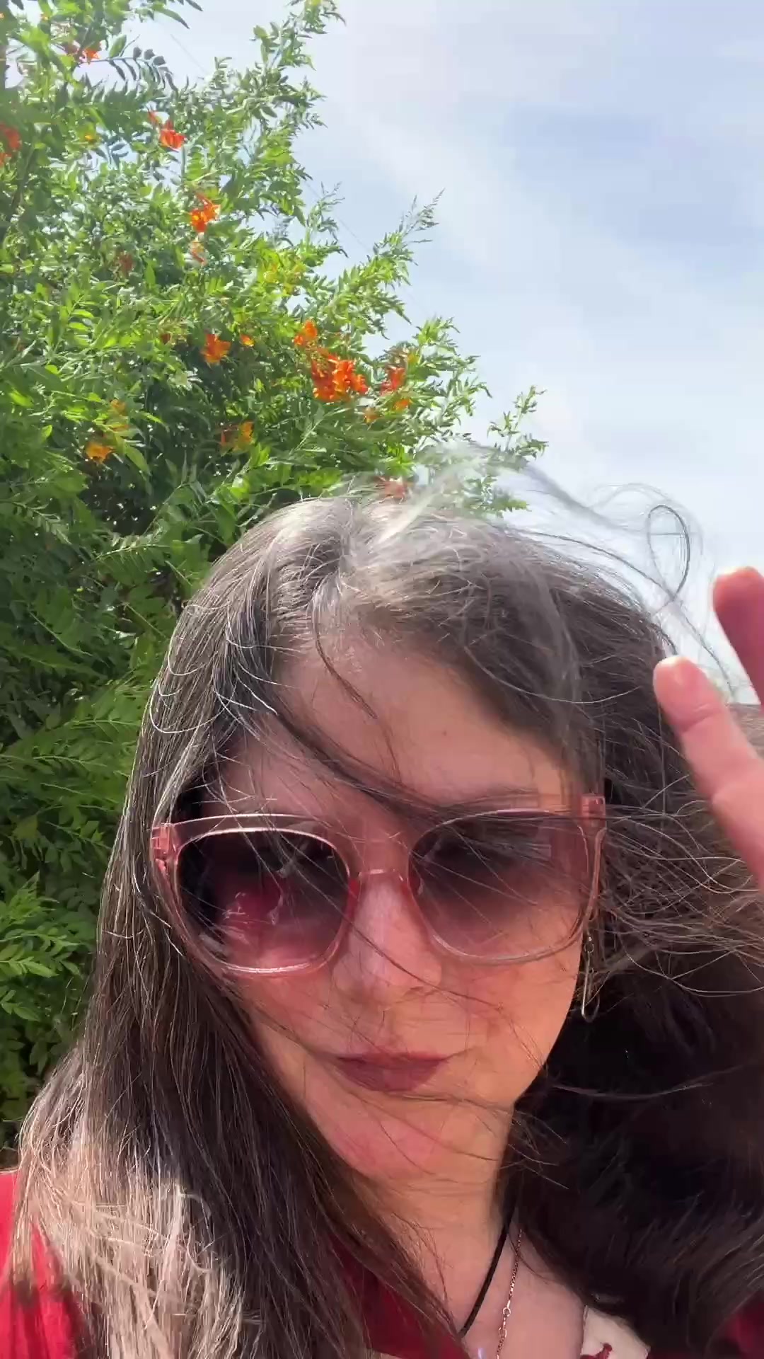 @azlivinglaura