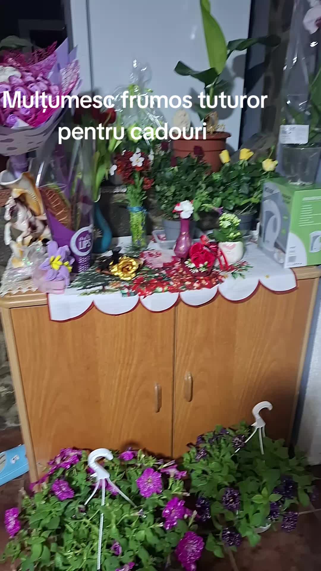 @icaberar