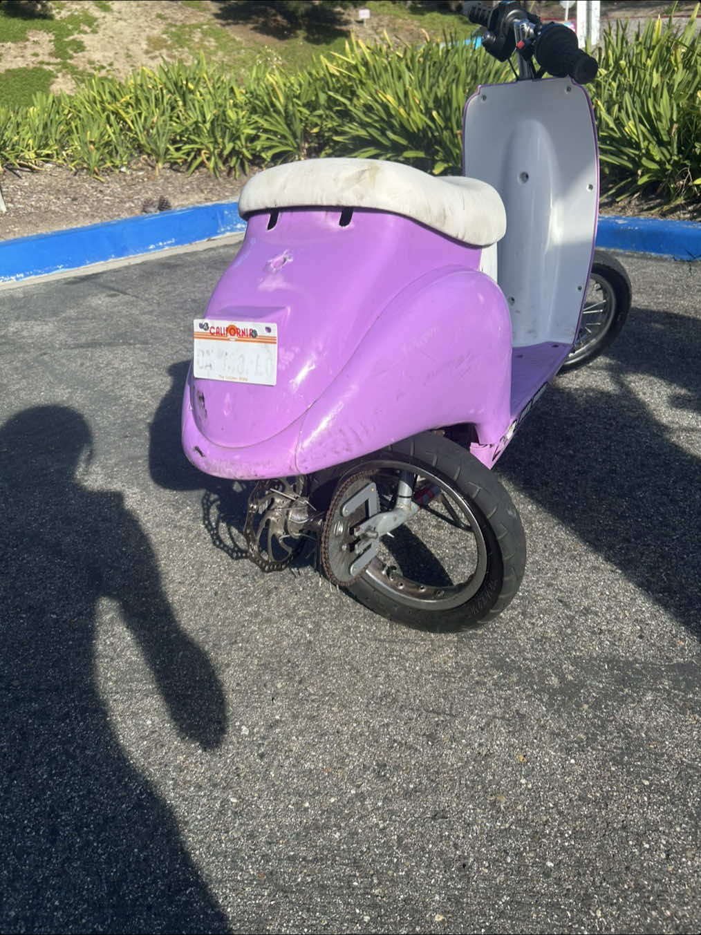 @da_purp_moped