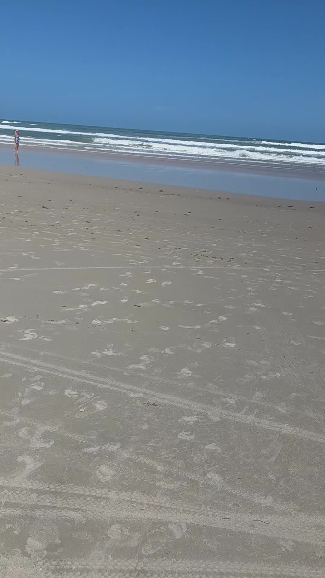 @Luis ✌️🇵🇷🇵🇷🇵🇷