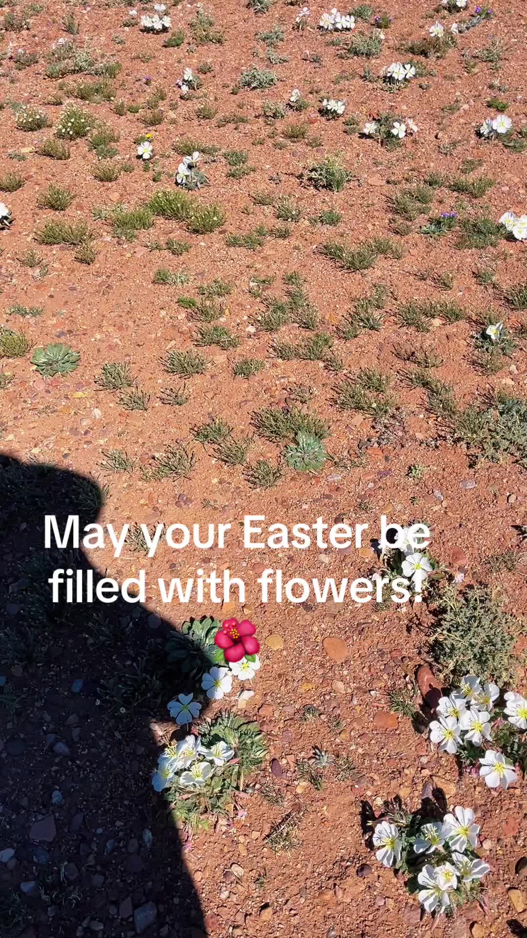 @AZ Off Grid
