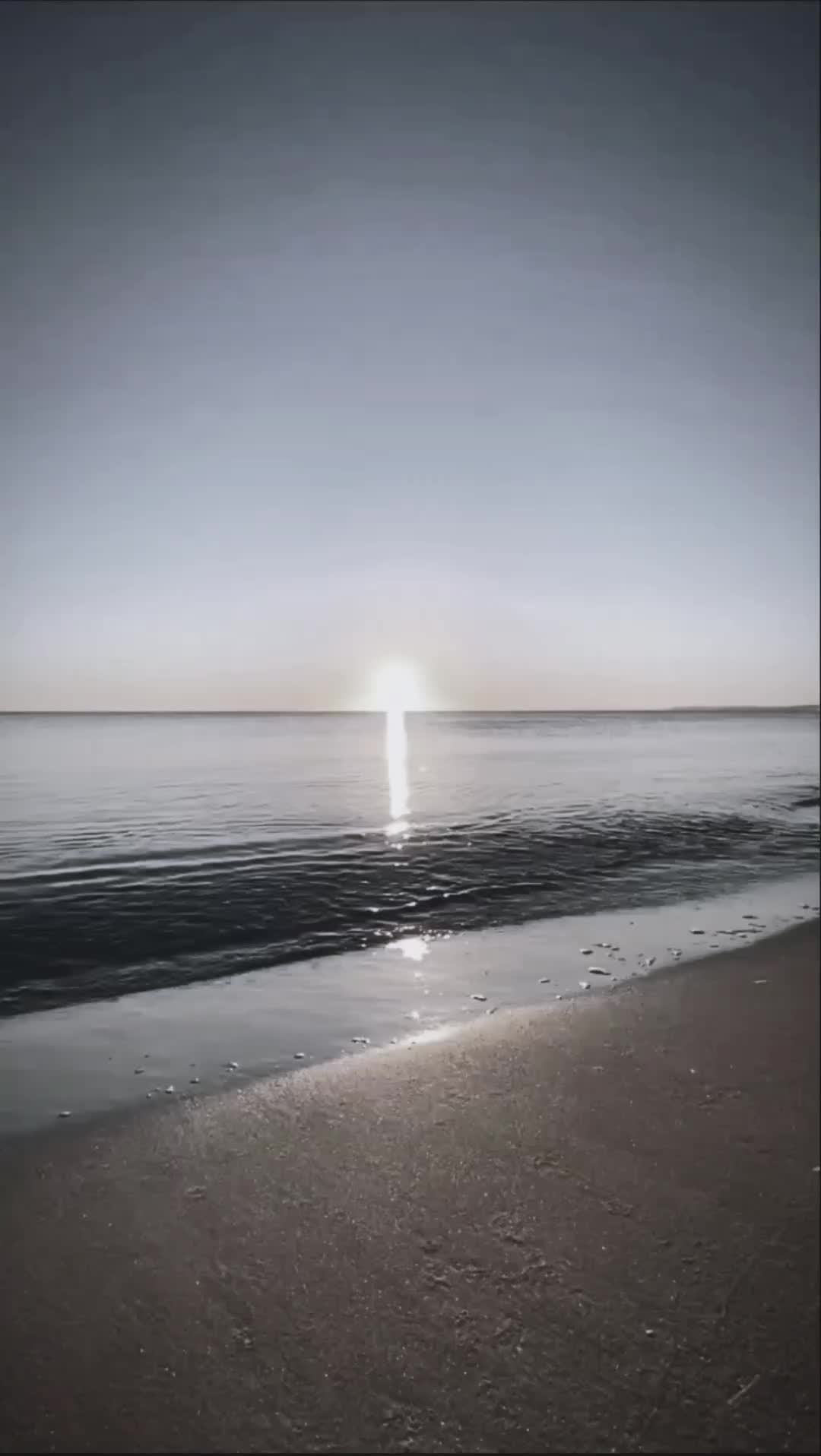 @stolzerpapa
