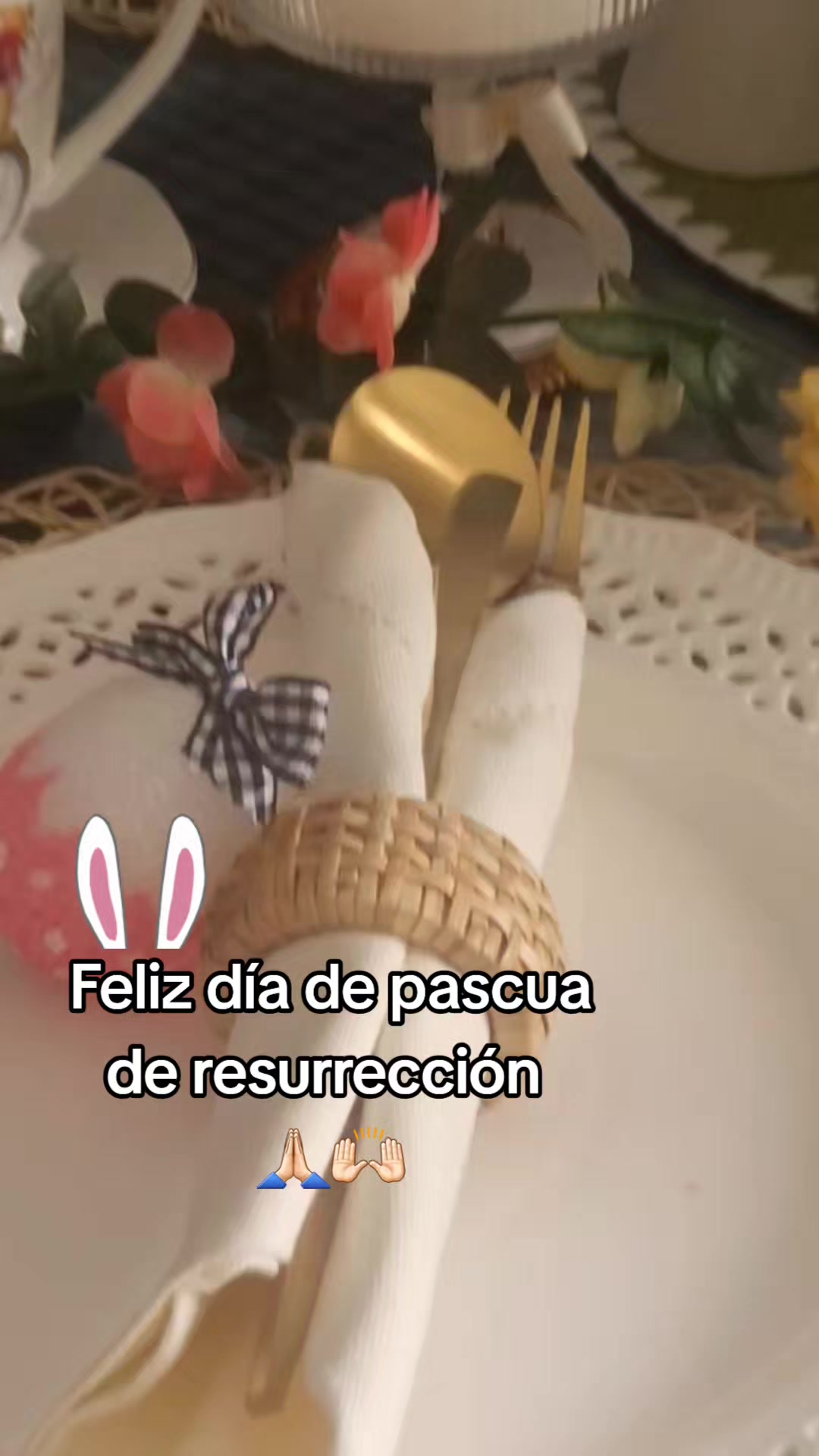 @anmydelaredonda