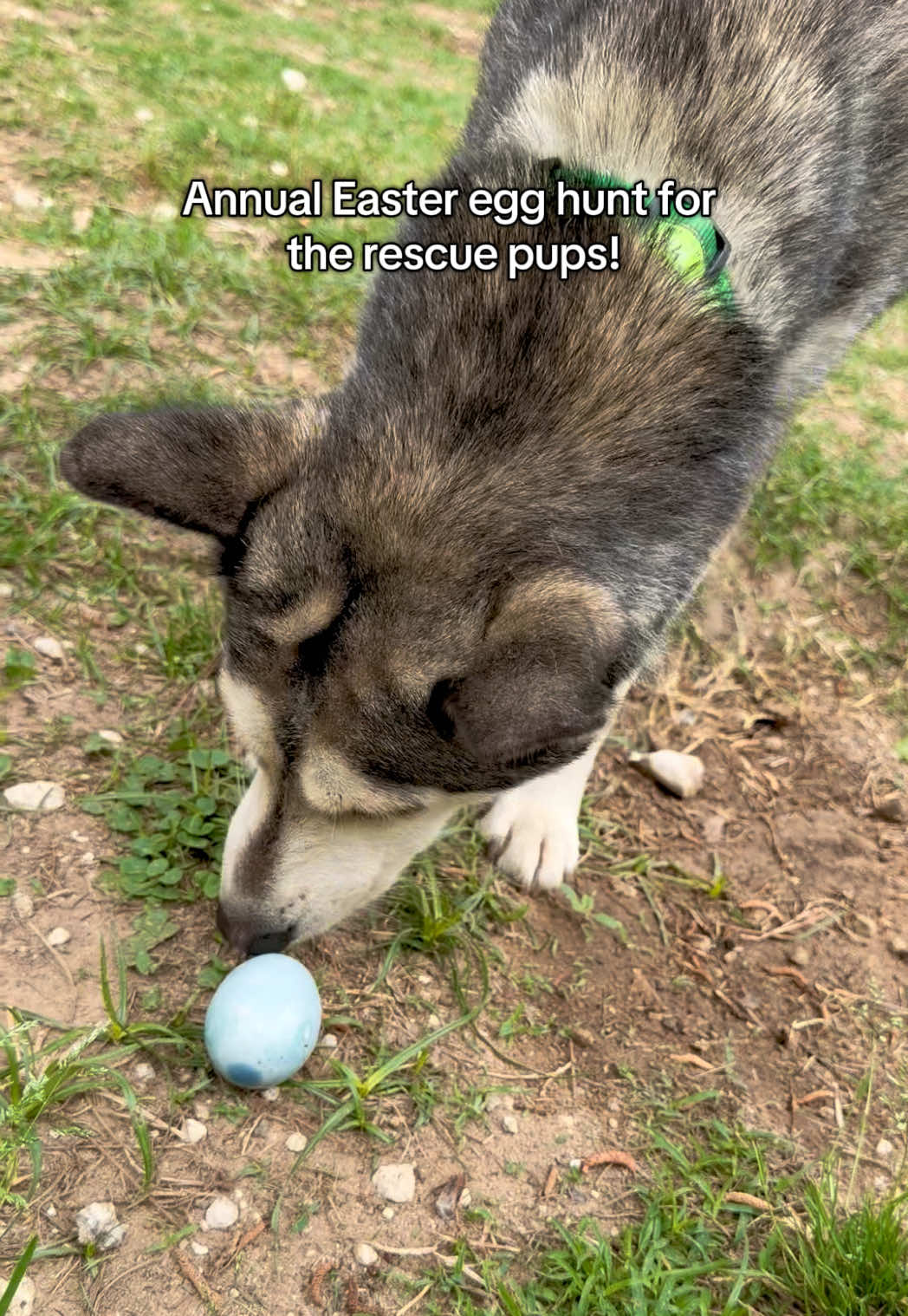 @Corridor Rescue Inc.