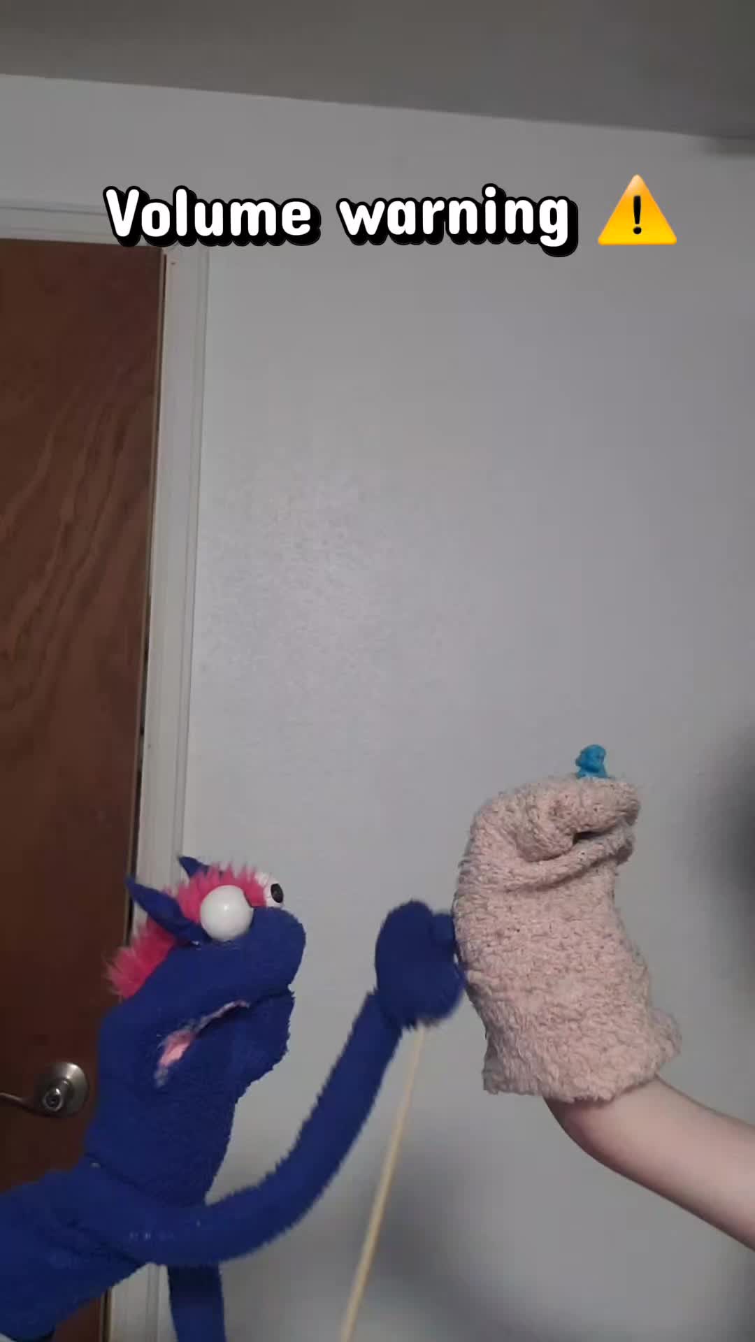 @the3puppet33rs
